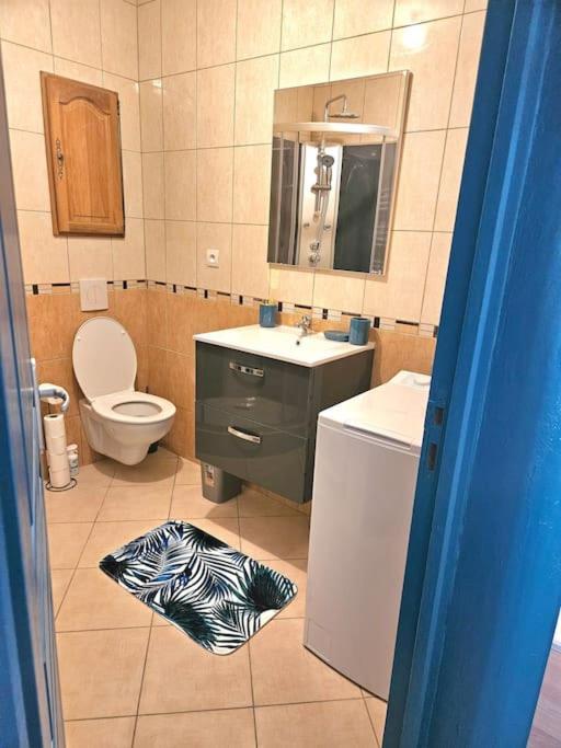 Charleville-Mézières Spacieux Et Charmant Appartement De 47 M2 מראה חיצוני תמונה